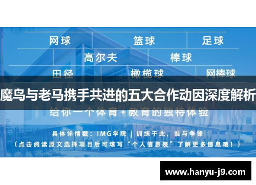 魔鸟与老马携手共进的五大合作动因深度解析 魔鸟与老马携手共进的五大合作动因深度解析